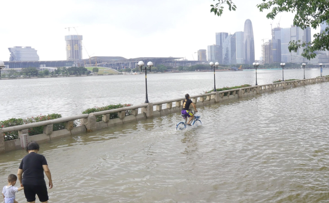 夢見水浸街 解析 夢見水浸街 解析