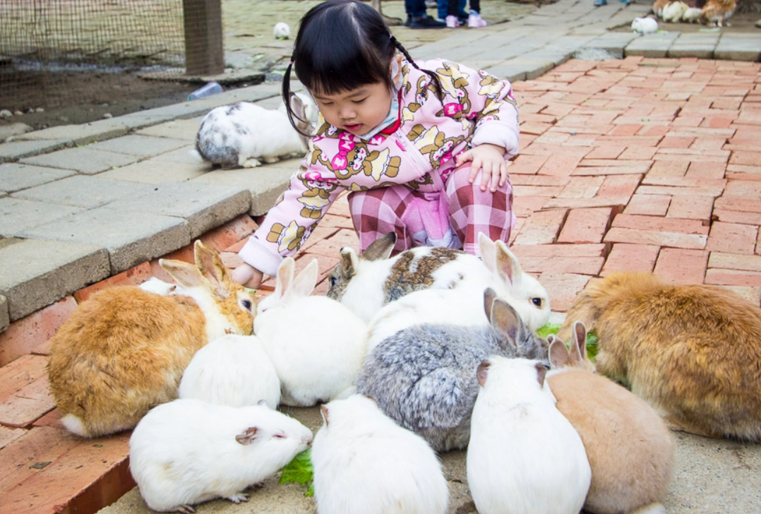 親子餵動物景點 親子餵動物景點