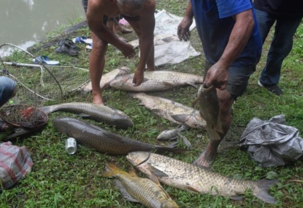 夢境解析 夢境解析