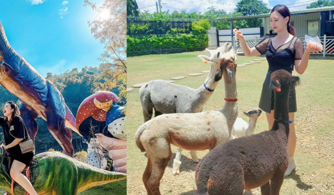 台中看動物景點