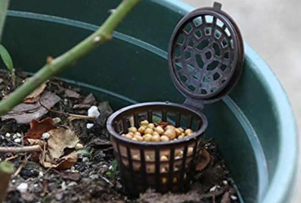 盆景肥料推薦 盆景肥料推薦