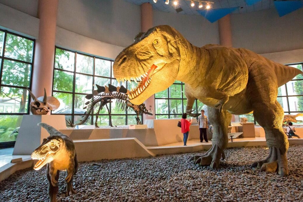 小小孩適合的台中景點 小小孩適合的台中景點