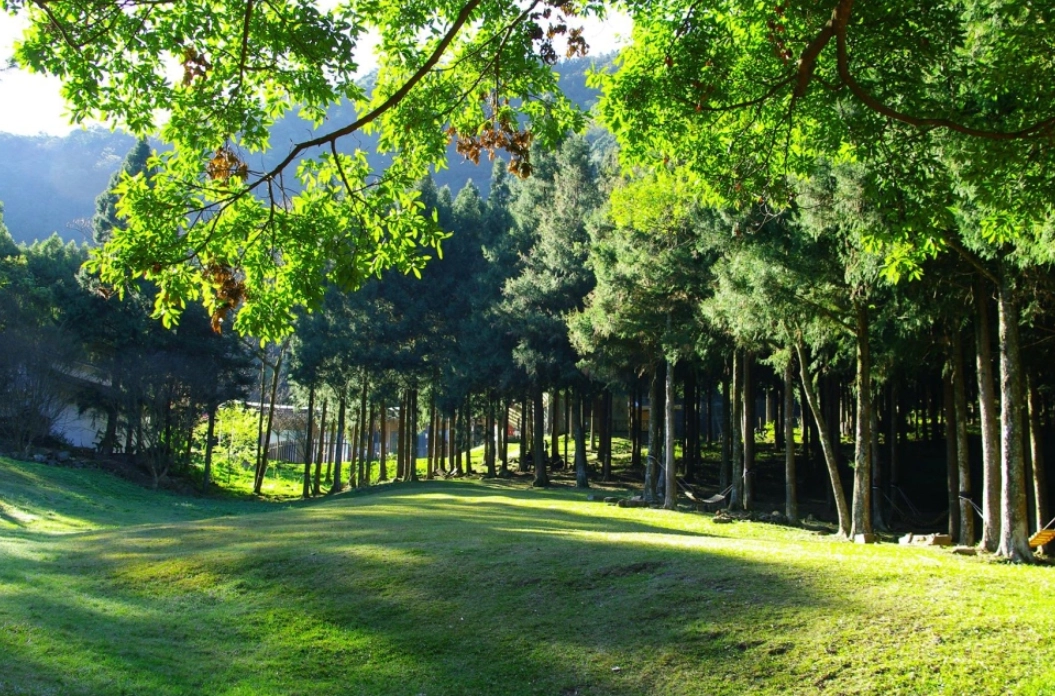 惠蓀林場露營費用