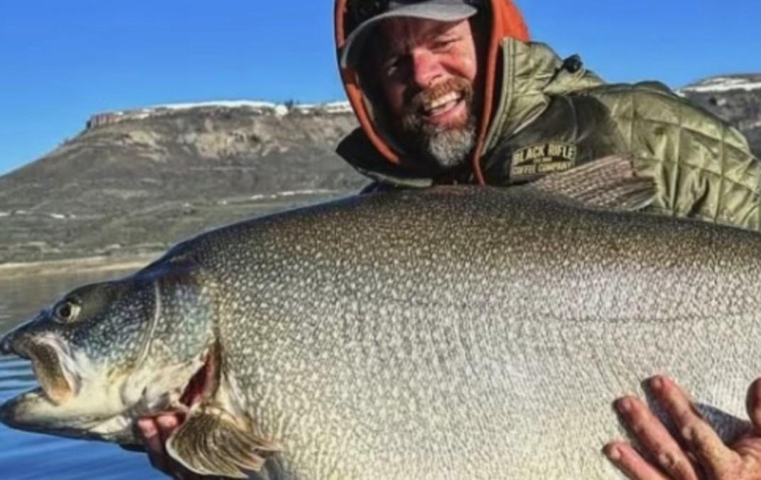 夢境解析 夢境解析