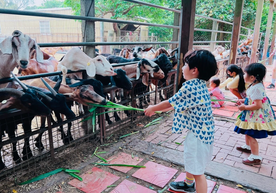 台中休閒農場 台中休閒農場