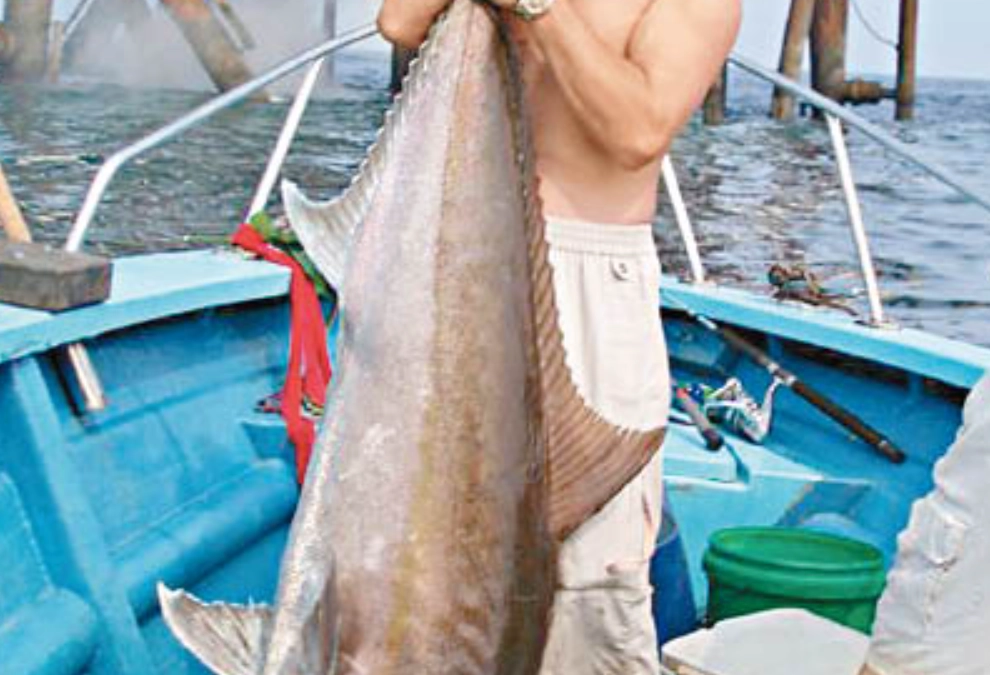 夢見釣魚解夢 夢見釣魚解夢