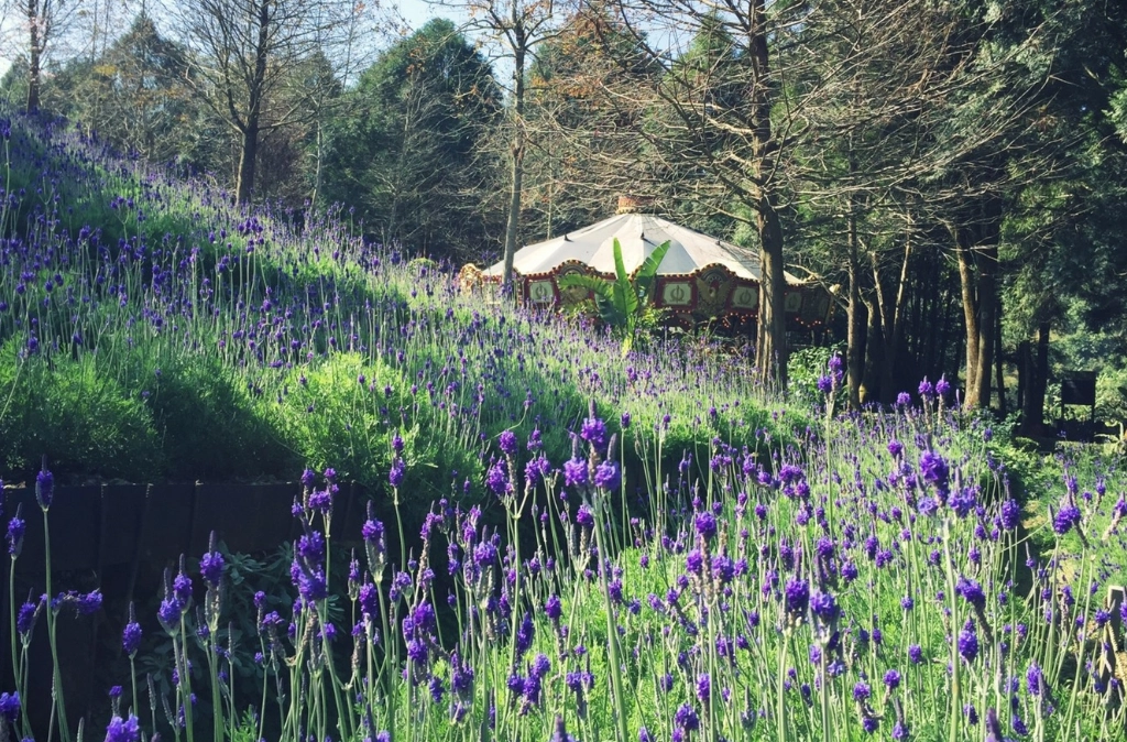 台中休閒農場 台中休閒農場