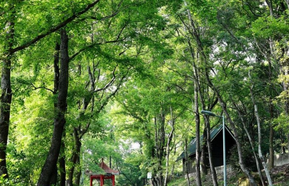農場一日遊 農場一日遊