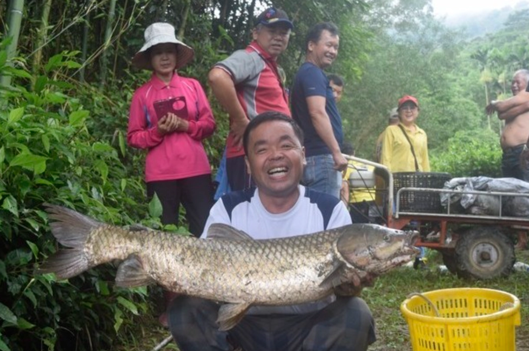 解夢指南 解夢指南