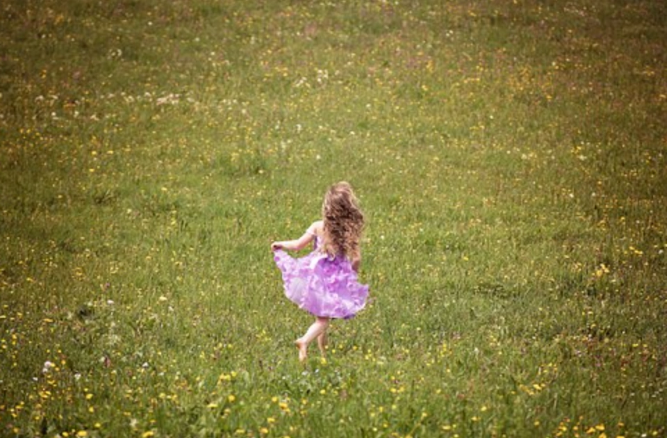 夢見被追 意思 夢見被追 意思