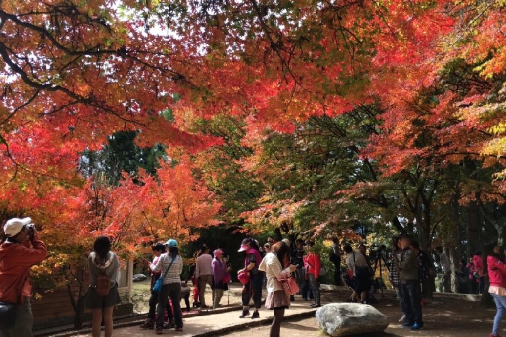 台中動物餵食 台中動物餵食