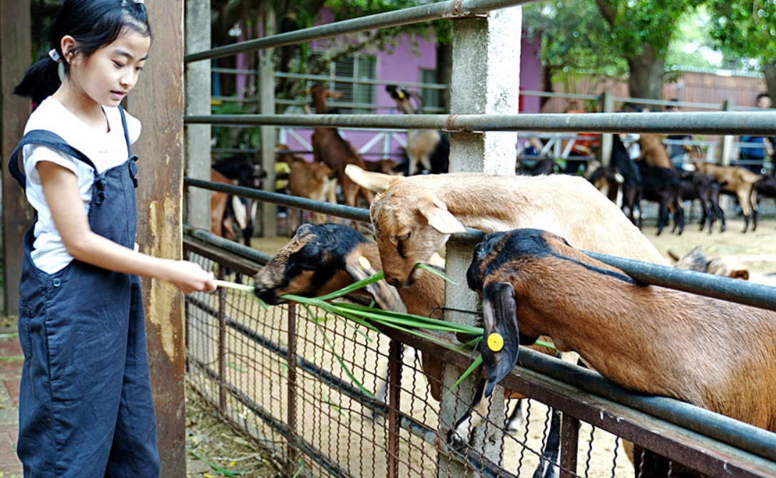 台中看動物景點