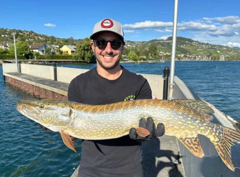 夢境解析 夢境解析