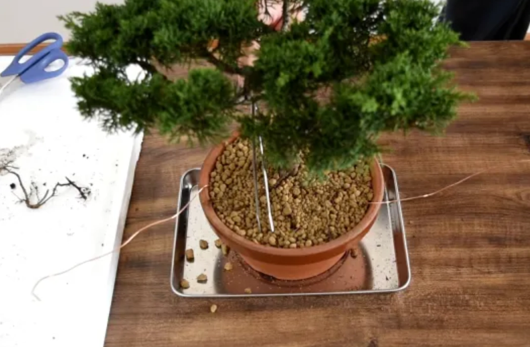 盆栽 介質 配方 盆栽 介質 配方