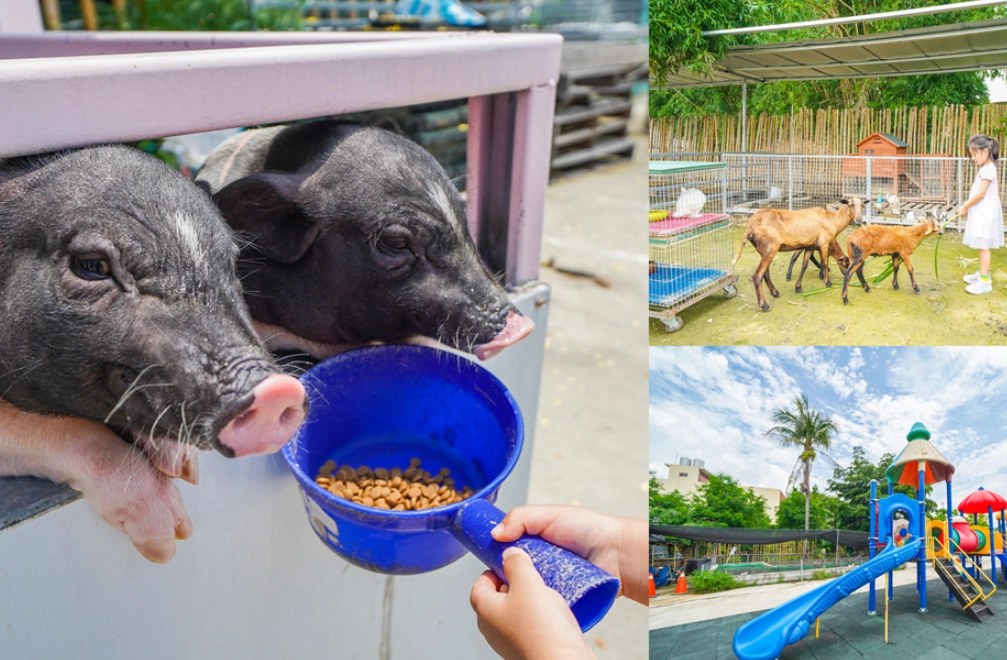 台中動物餵食 台中動物餵食