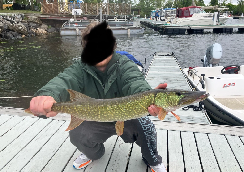 解夢指南 解夢指南