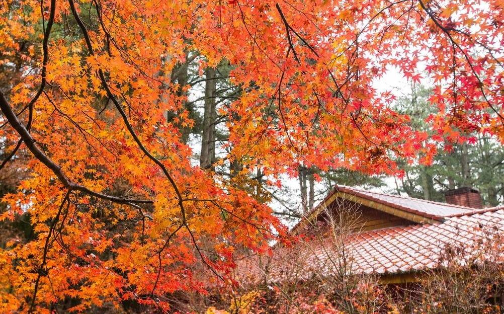 農場一日遊 農場一日遊