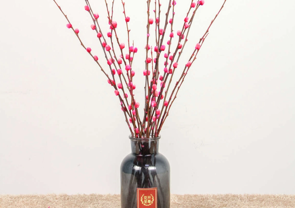 銀柳水養 銀柳水養