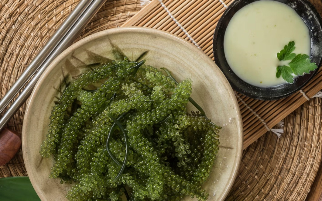 海葡萄料理 海葡萄料理