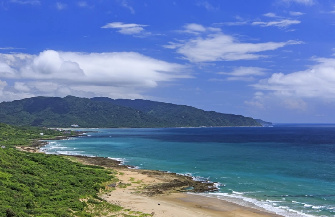 彩虹天堂鳥 生態攝影 彩虹天堂鳥 生態攝影