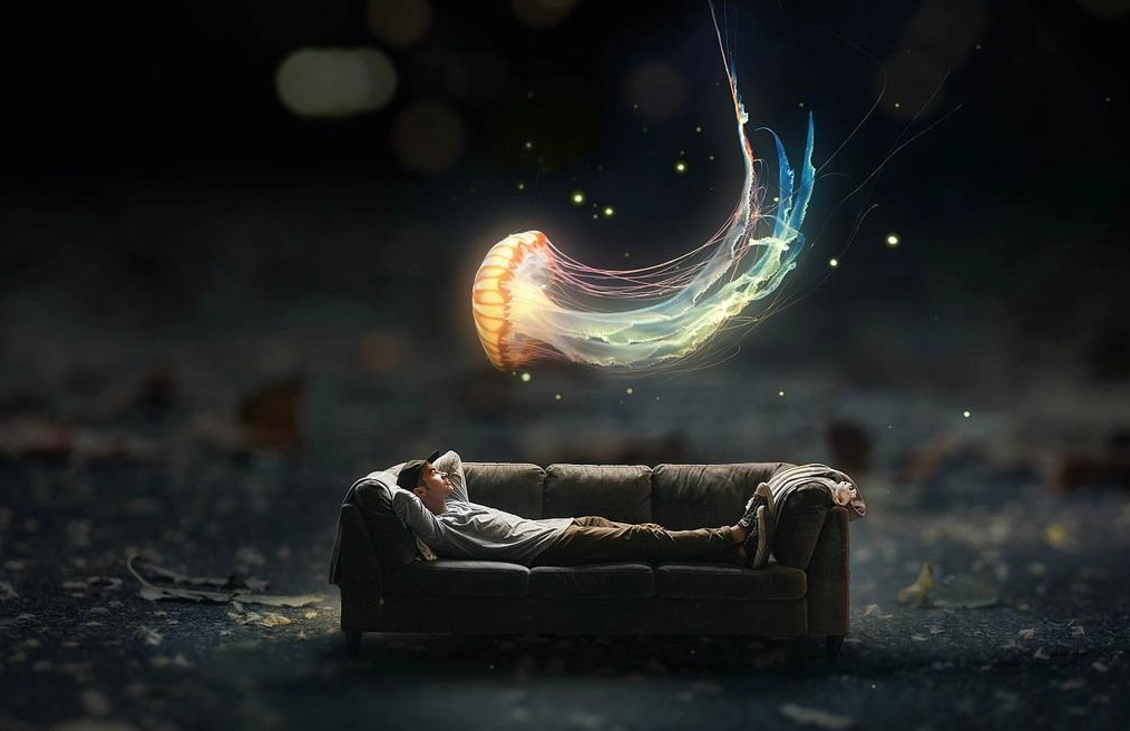 夢境解析 夢境解析