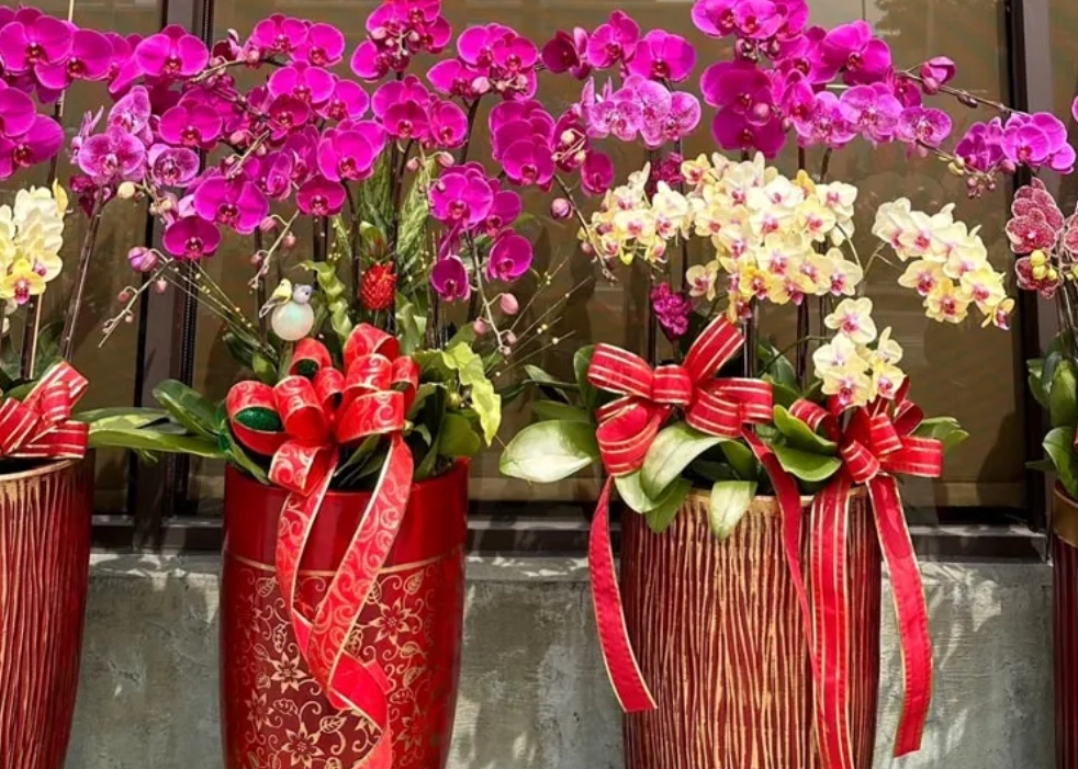 送花禁忌台灣 送花禁忌台灣