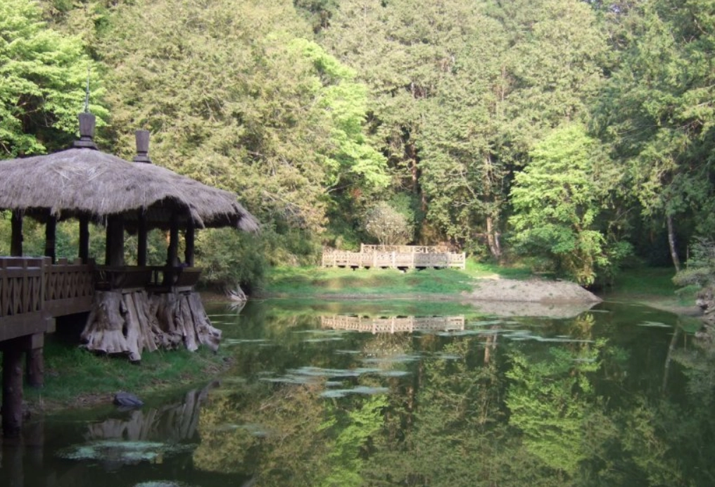 天堂鳥 觀賞地點