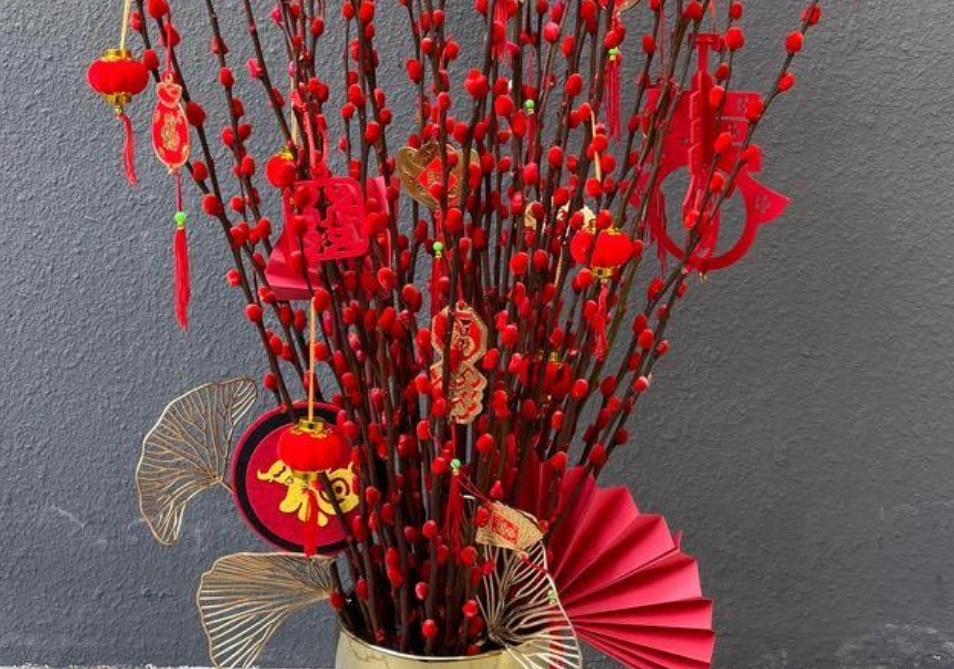 銀柳水養 銀柳水養