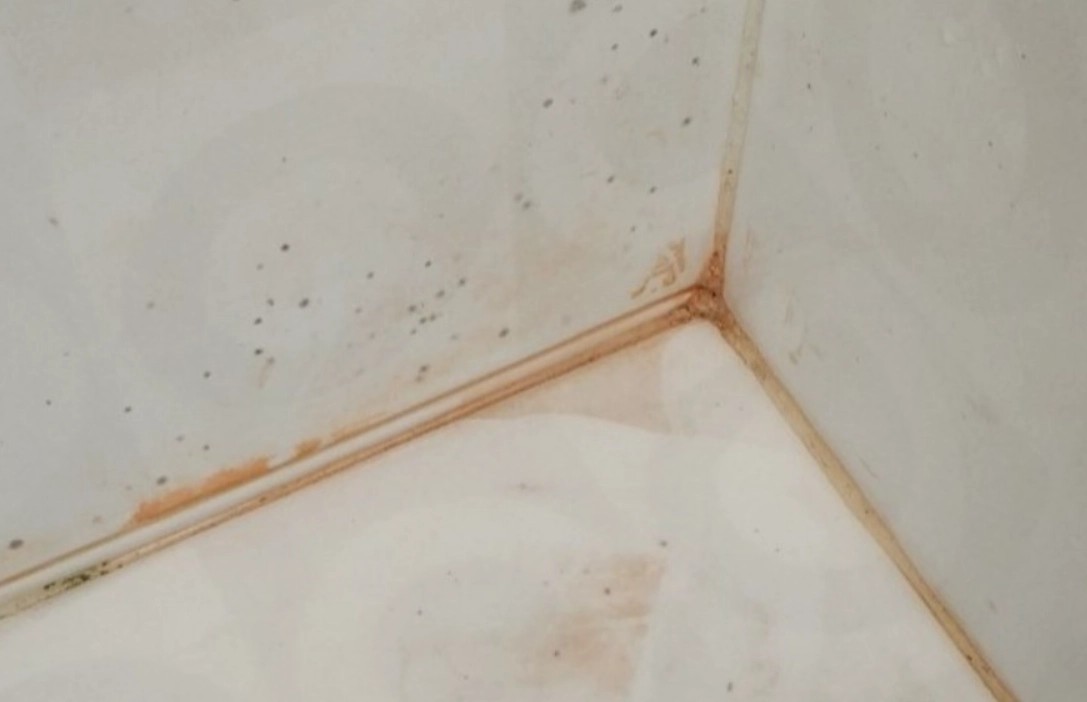 粉紅色黴菌預防