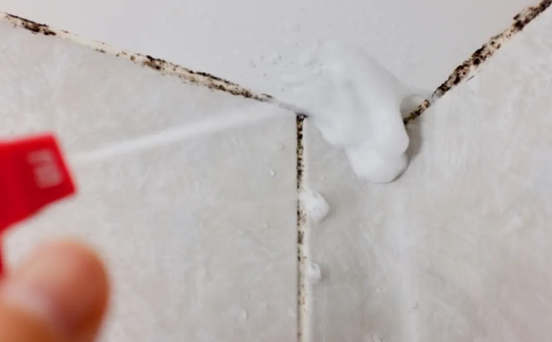 浴室磁磚發霉 浴室磁磚發霉