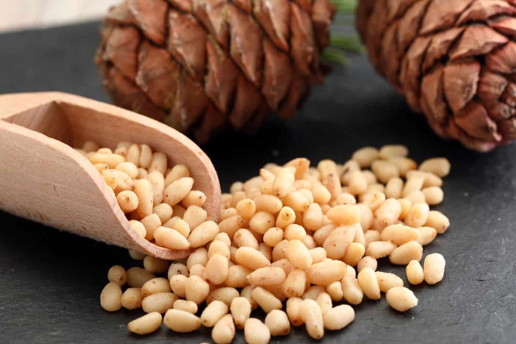 松子景點 松子景點