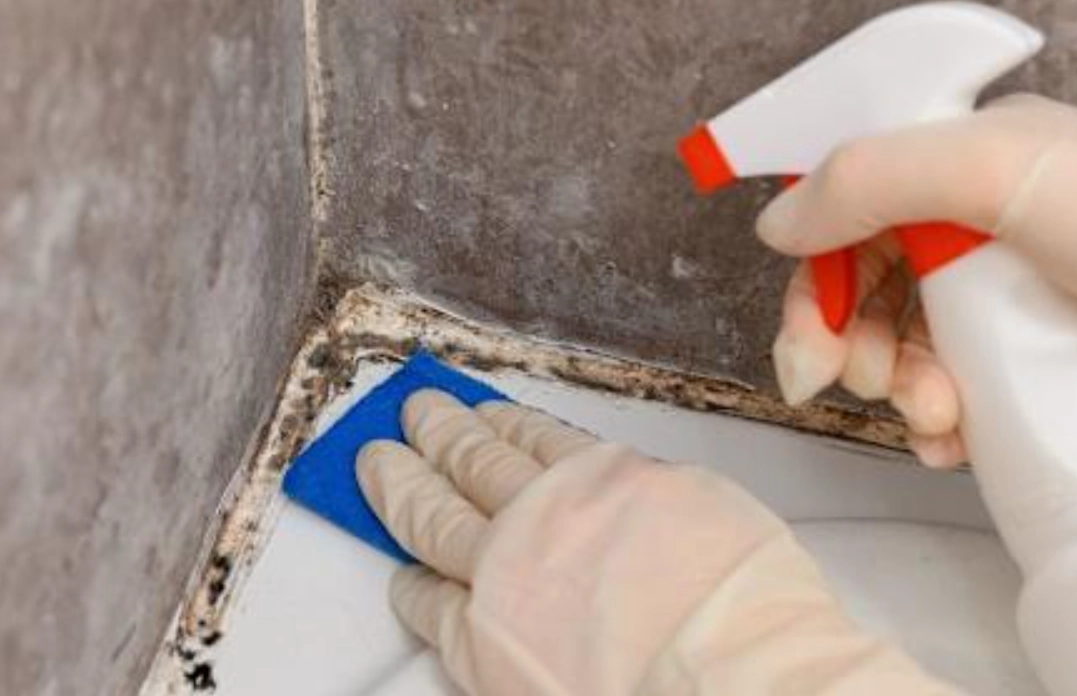 小蘇打除霉 小蘇打除霉