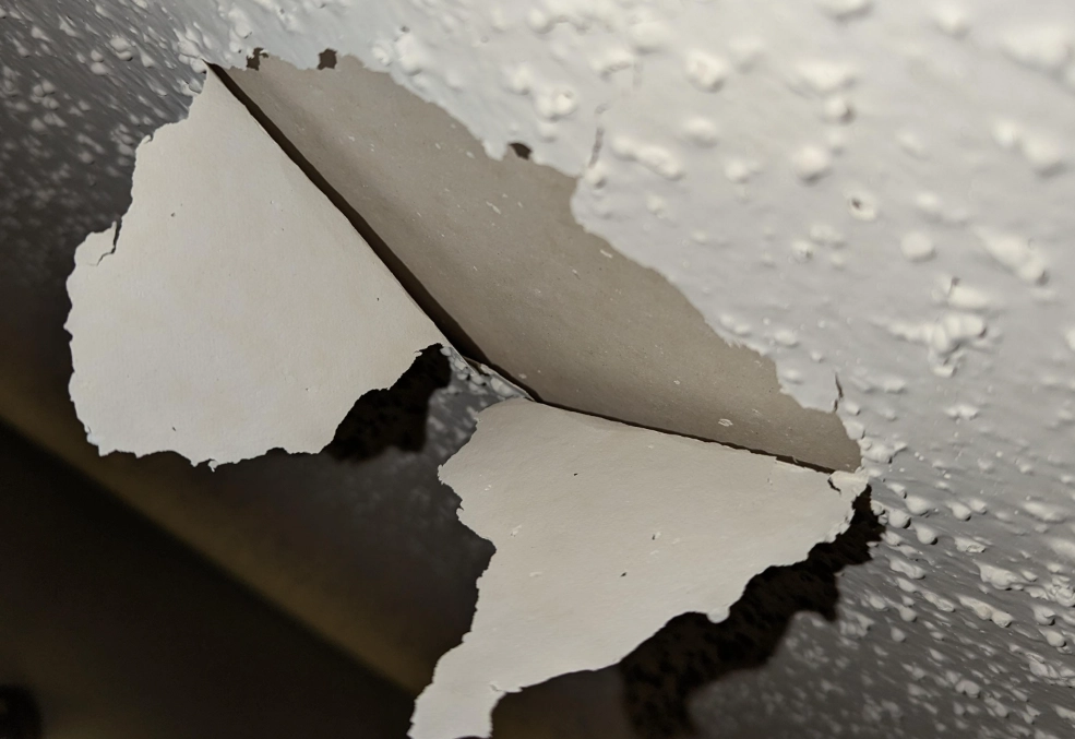 浴室天花板油漆剝落原因 浴室天花板油漆剝落原因