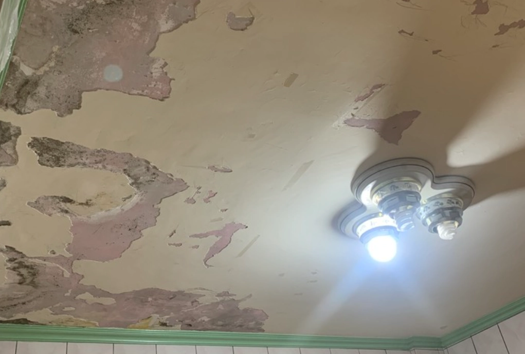 浴室天花板油漆剝落原因 浴室天花板油漆剝落原因