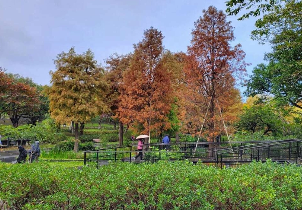 松子景點 松子景點