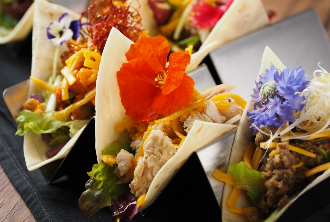 可食用花卉 可食用花卉