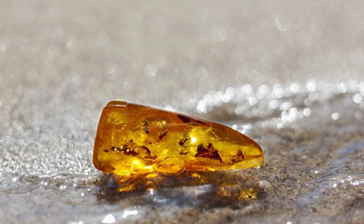 琥珀真偽辨別 琥珀真偽辨別