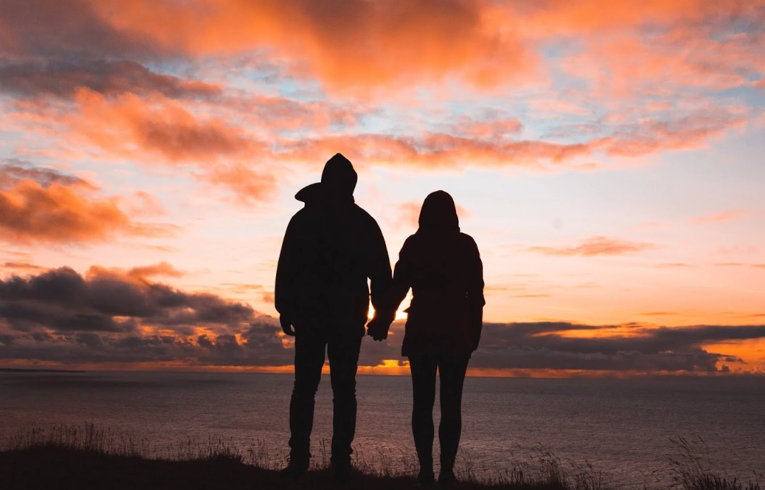 情感夢境處理 情感夢境處理