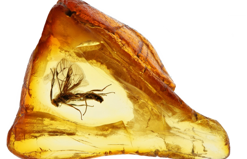 琥珀鑑定 琥珀鑑定