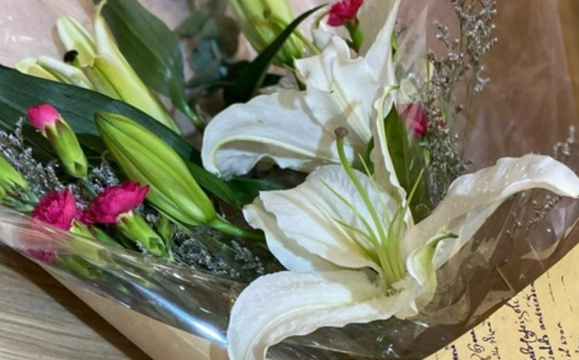 百合花對貓有毒 百合花對貓有毒