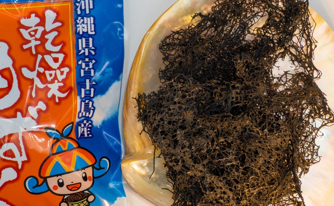 海蘊 入境 台灣 海蘊 入境 台灣