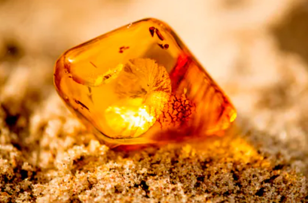 琥珀鑑定 琥珀鑑定