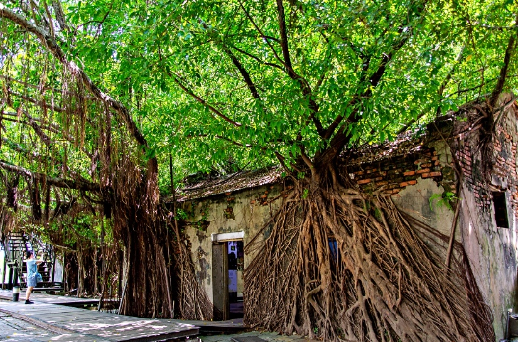 台南親子旅遊 台南親子旅遊