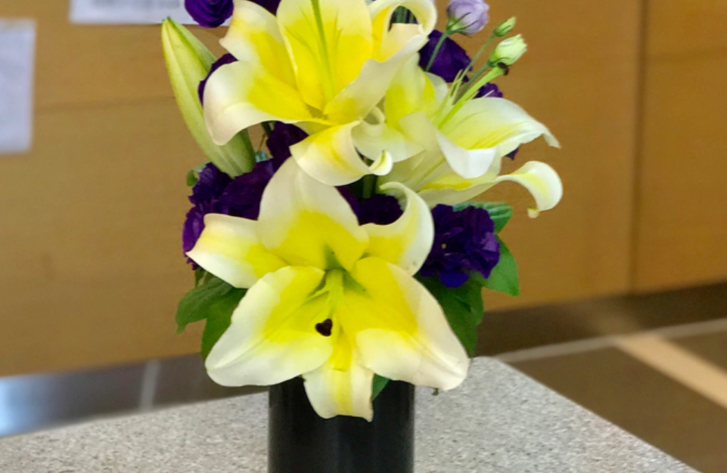 貓咪百合花中毒 貓咪百合花中毒