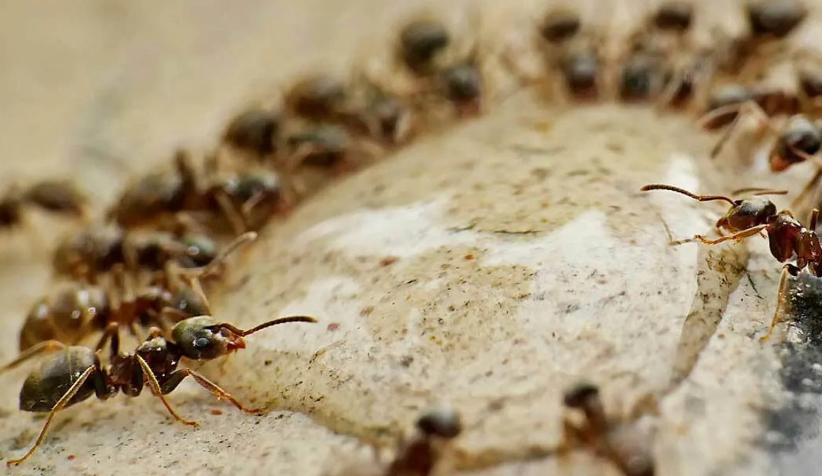 解夢 壓力 象徵