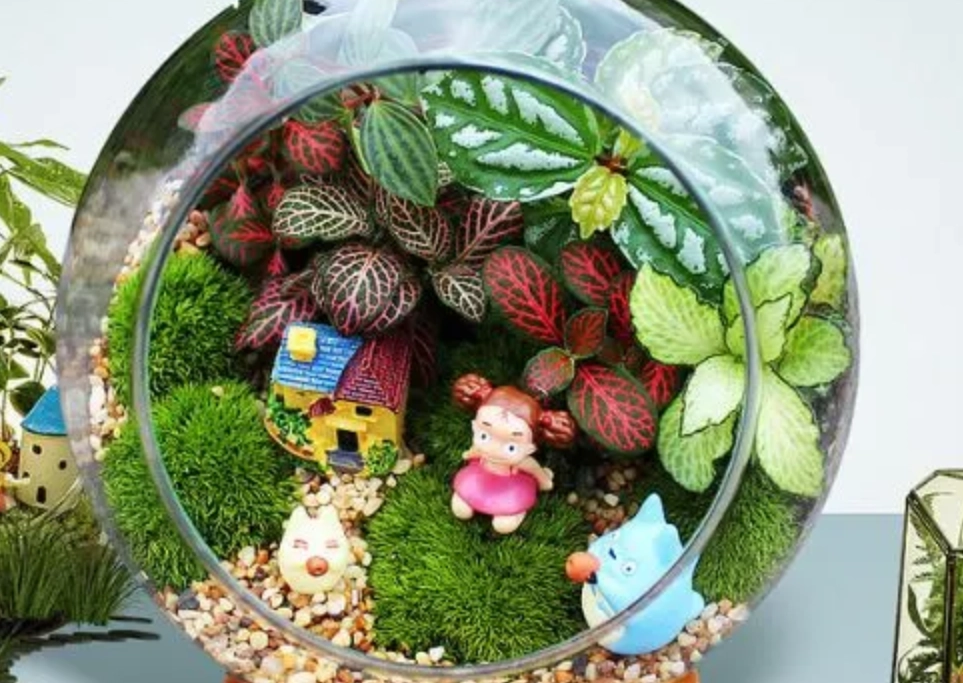 盆景製作教學 盆景製作教學