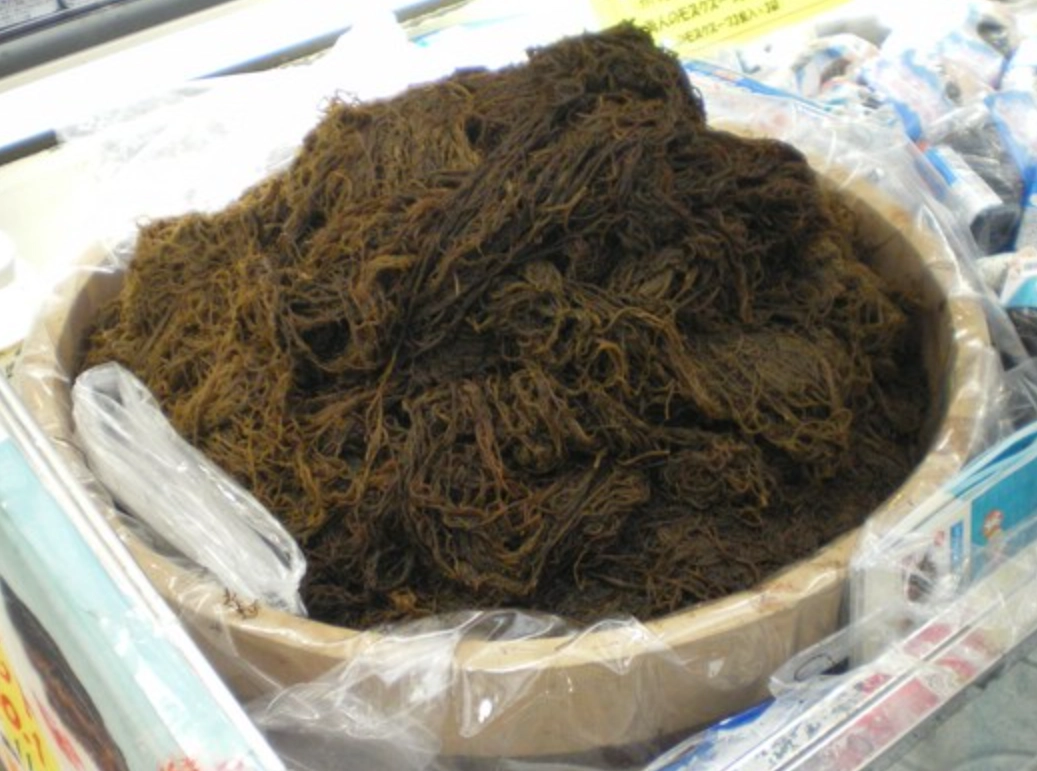 海蘊 入境 台灣