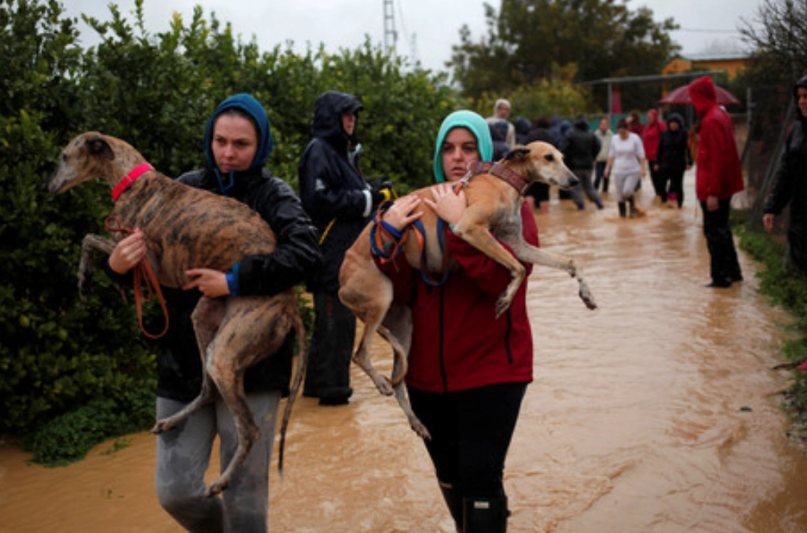 夢到淹水逃難 意思 夢到淹水逃難 意思