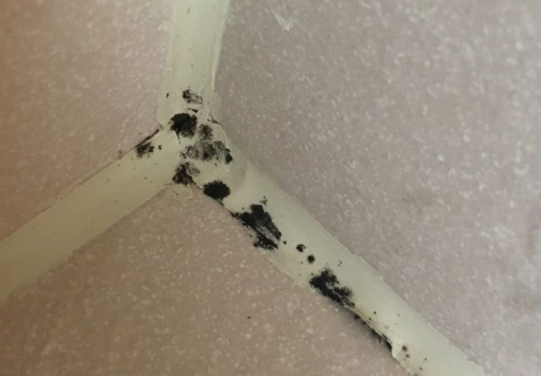 浴室膠條發霉