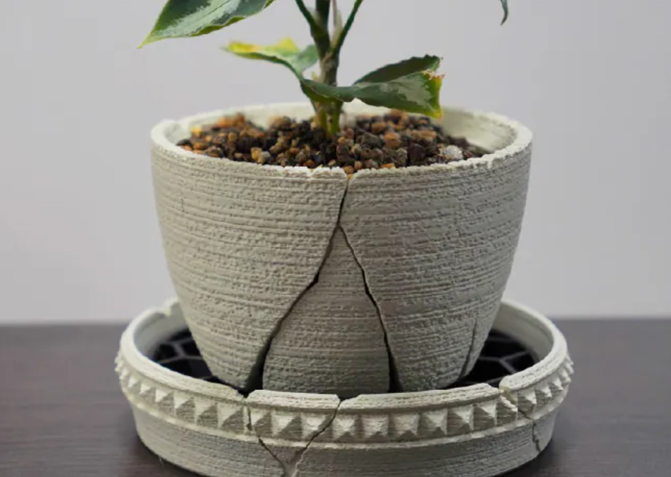 盆栽養護 盆栽養護